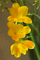 f:id:Arie:20060328024608j:image:small
