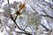 f:id:Arie:20060328024612j:image:small