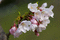 f:id:Arie:20060328024613j:image:small