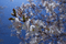 f:id:Arie:20060329233104j:image:small