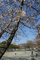 f:id:Arie:20060329233117j:image:small