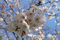 f:id:Arie:20060329233119j:image:small