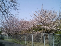 f:id:Arie:20060331155807j:image
