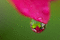 f:id:Arie:20060616010058j:image:small