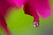 f:id:Arie:20060616010100j:image:small