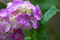 f:id:Arie:20060616010101j:image:small