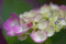f:id:Arie:20060616010309j:image:small