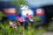 f:id:Arie:20060924015227j:image:small