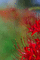 f:id:Arie:20060924113714j:image:small