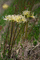 f:id:Arie:20060924113718j:image:small