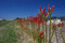 f:id:Arie:20060924113719j:image:small