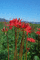 f:id:Arie:20060924114135j:image:small