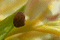 f:id:Arie:20060924114209j:image:small