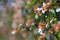 f:id:Arie:20060925014007j:image:small