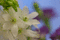 f:id:Arie:20080113020341j:image:small