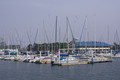 20080428093102