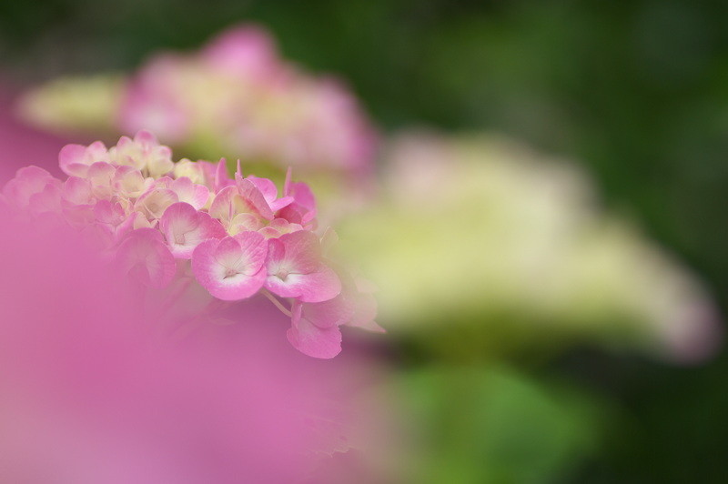 f:id:Arie:20080614003438j:image:h100