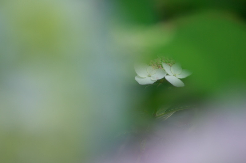 f:id:Arie:20080614003855j:image:h100