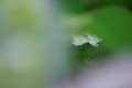 20080614003855
