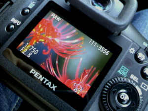 f:id:Arie:20080916171632j:image f:id:Arie:20080916171632j:image