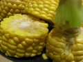 20081012215317