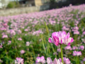 f:id:Arie:20090409171306j:image