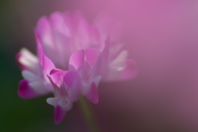 f:id:Arie:20090412221910j:image:h150