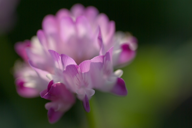 f:id:Arie:20090412221911j:image:h150