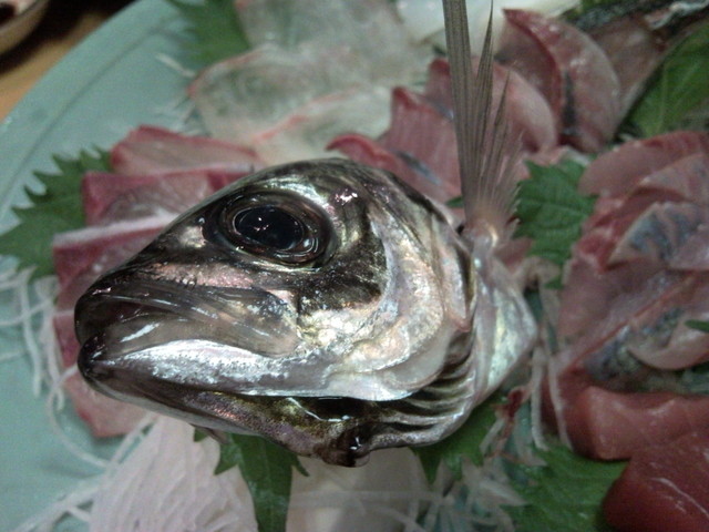 f:id:Arie:20090719220038j:image:h100