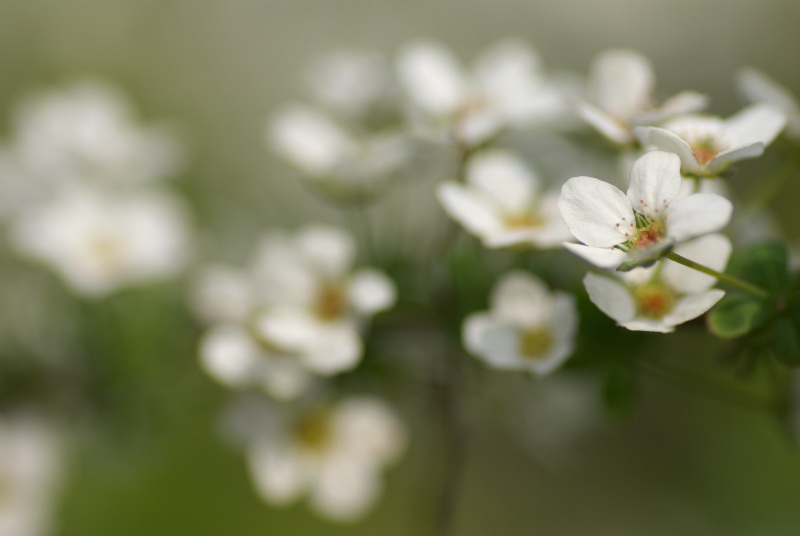 f:id:Arie:20130324012829j:image:w300 f:id:Arie:20130324012829j:image:w300