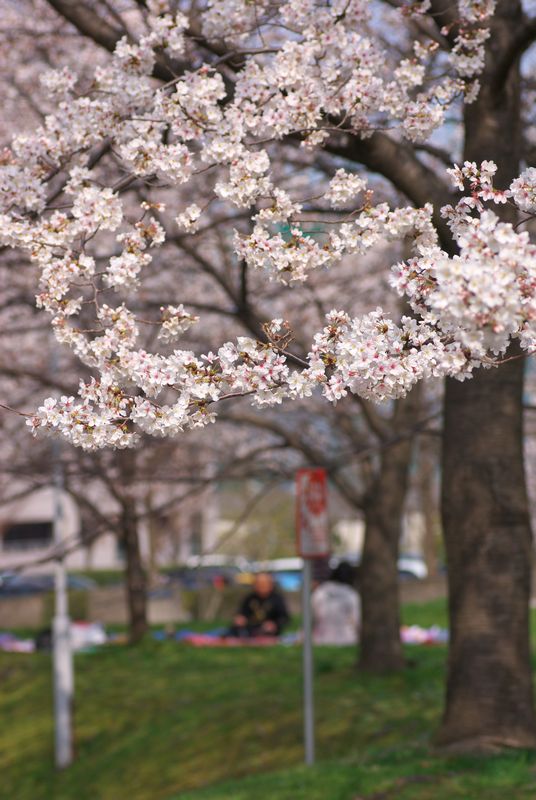 f:id:Arie:20130324012833j:image:h300 f:id:Arie:20130324012833j:image:h300