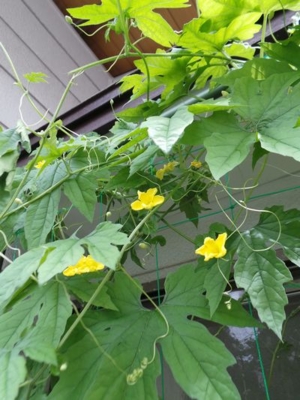 f:id:Arie:20130717101415j:image
