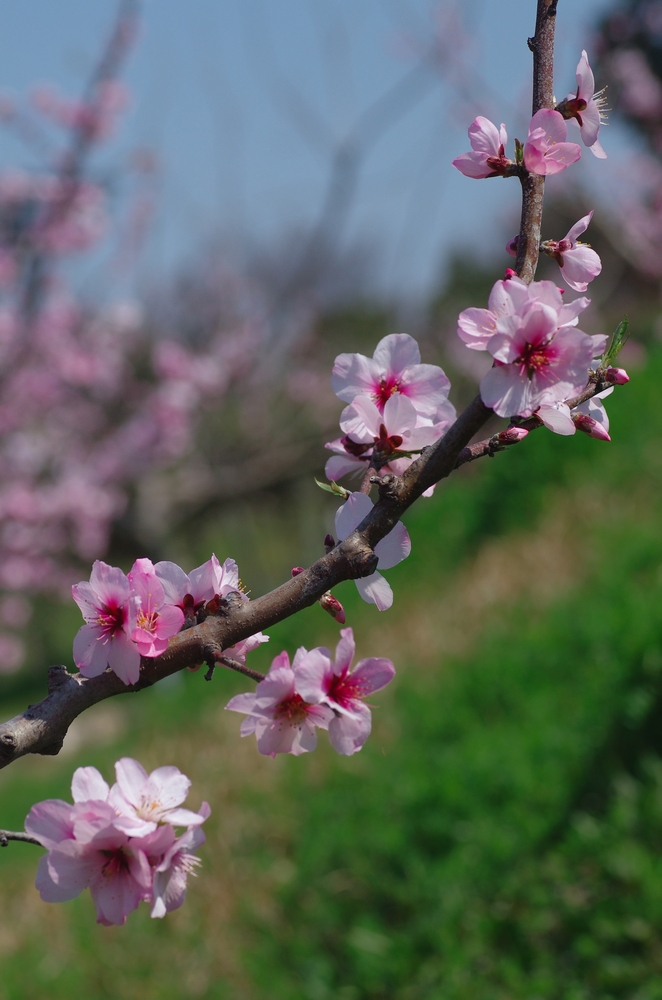 f:id:Arie:20140327214822j:image:w500