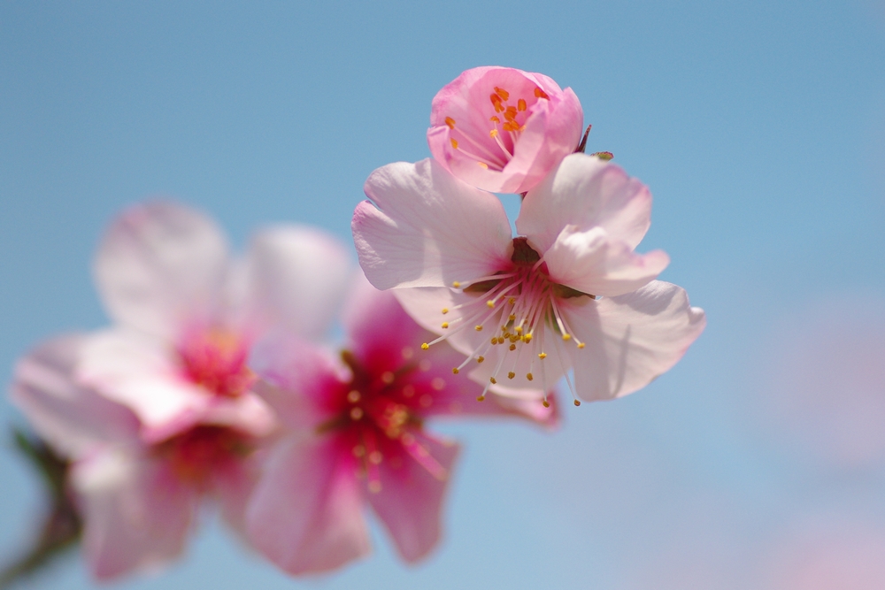 f:id:Arie:20140327214823j:image:w500