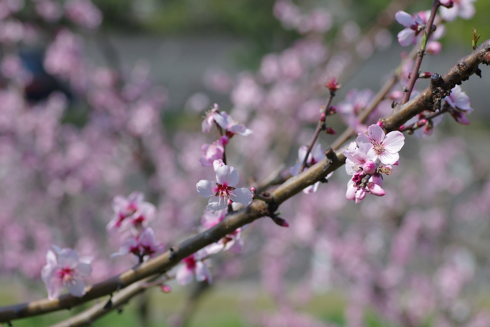 f:id:Arie:20140327214824j:image:w500