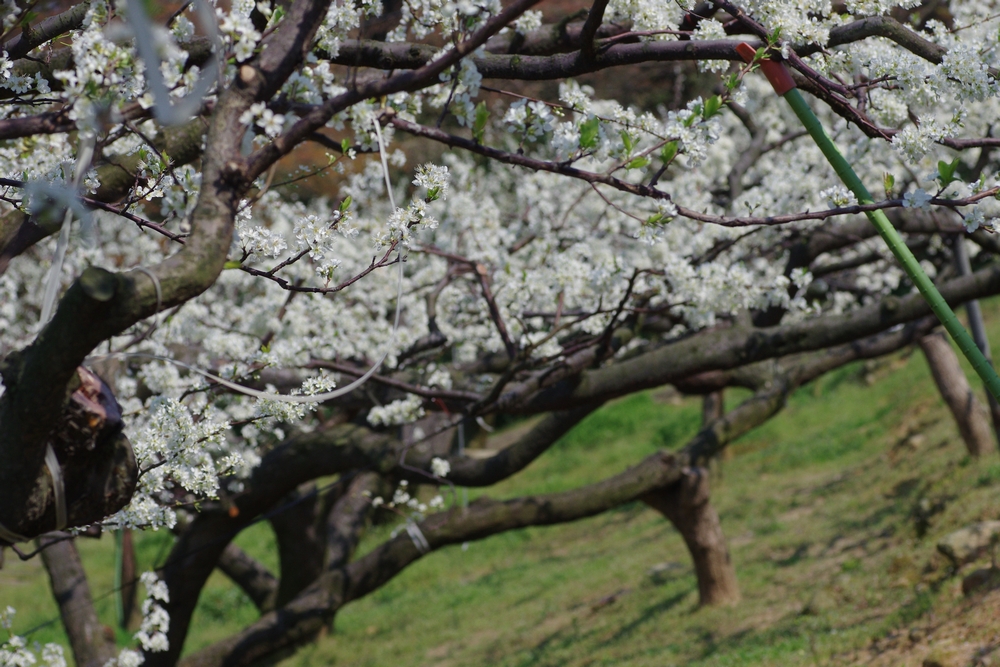 f:id:Arie:20140327215345j:image:w500