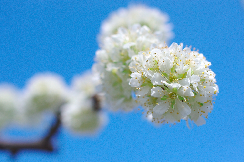 f:id:Arie:20140327215346j:image:w500