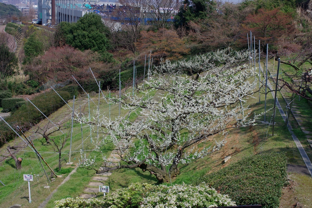 f:id:Arie:20140327215347j:image:w500