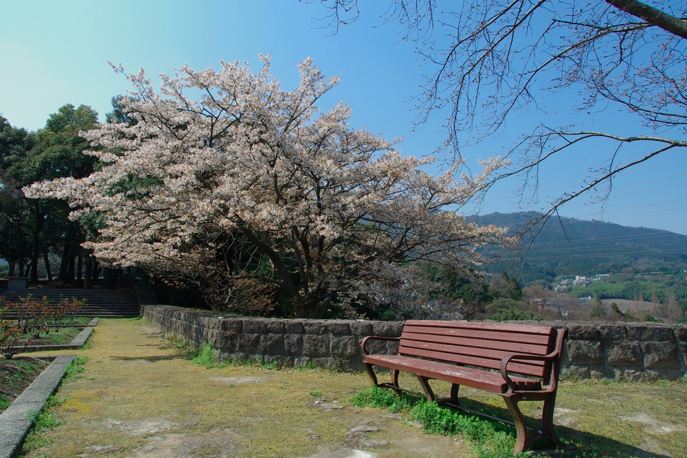 f:id:Arie:20140327215629j:image:w500