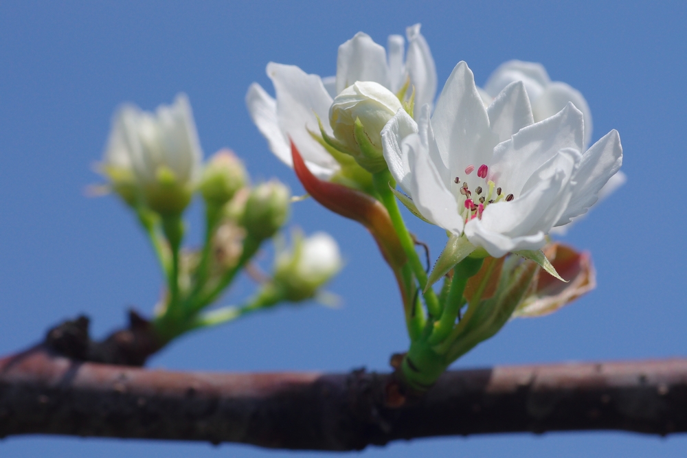 f:id:Arie:20140327215630j:image:w500