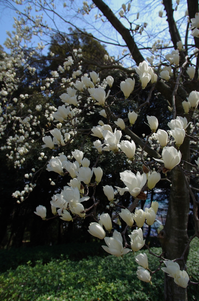 f:id:Arie:20140327221134j:image:w500
