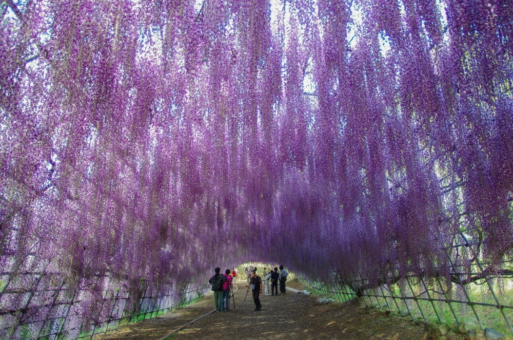 f:id:Arie:20150502183155j:image:w500