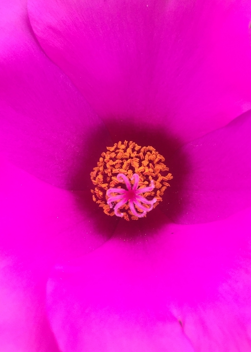 f:id:ArielinTransit:20201115225834j:plain