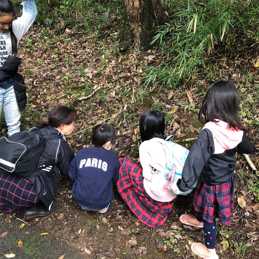 f:id:ArinaV:20201028001030j:image
