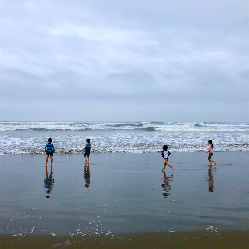 f:id:ArinaV:20201030045745j:image