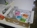 20110629093816