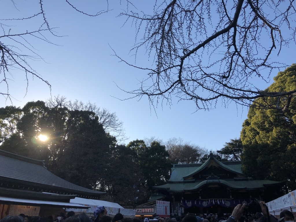 f:id:Arkcounseling:20190101185117j:plain