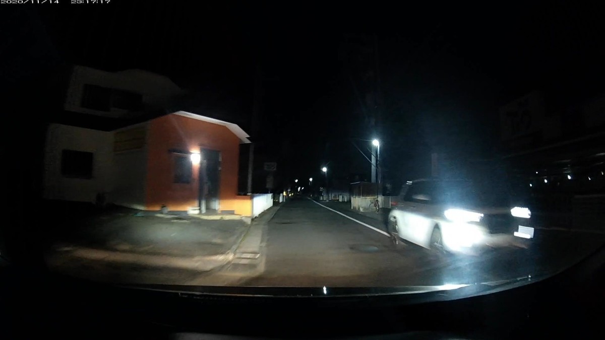 f:id:Arktorous:20201115211436j:plain
