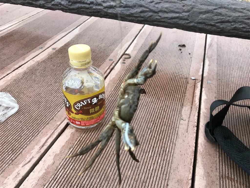 １１マハゼ以外の魚を狙う 何 カニ Aroesmith S Blog
