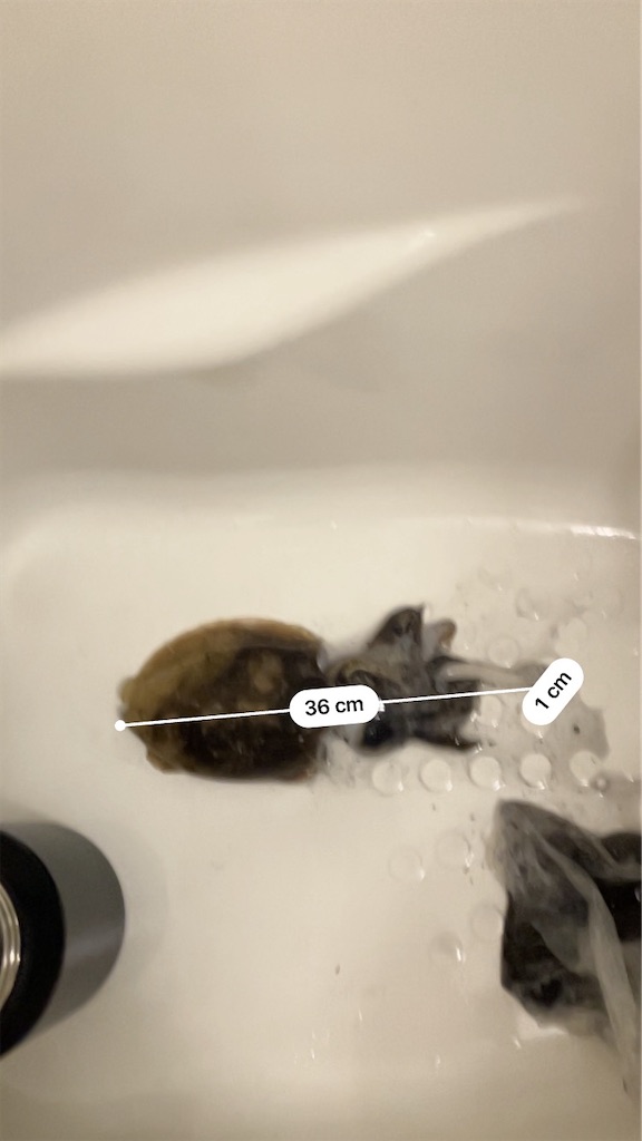 f:id:Aroesmith:20260910222004j:image